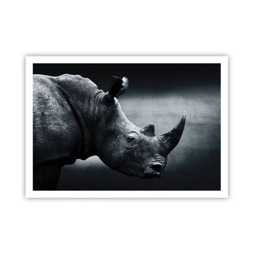Plakat - Højre profil - 100x70 cm