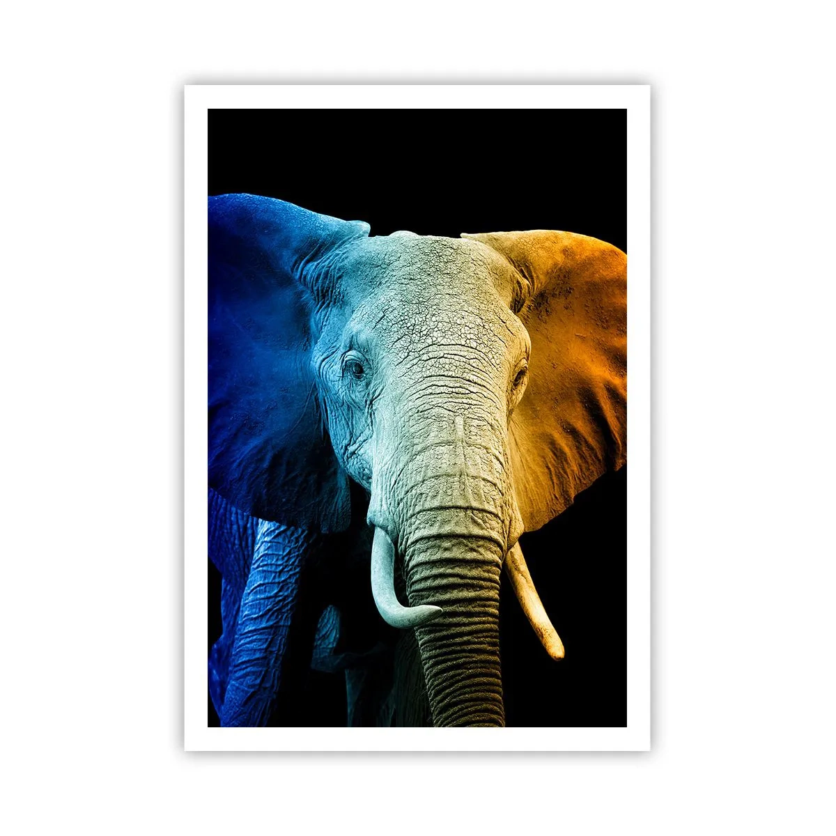 Plakat - Excentrisk, ikke underlig - 70x100 cm