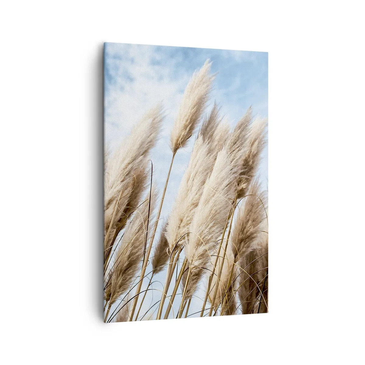 Lærredstryk - Billede på lærred - Solrig og blæsende kærtegn - 80x120 cm