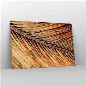 Billede på glas - Kokosnød guld - 120x80 cm