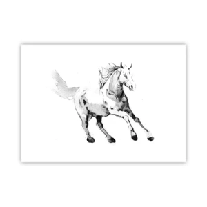 Plakat - Utæmmet sjæl - 70x50 cm