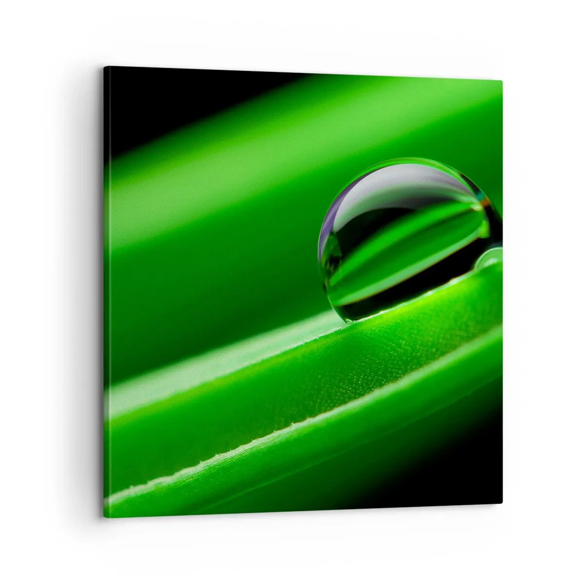 Lærredstryk - Billede på lærred - Livet på tæt hold - 60x60 cm