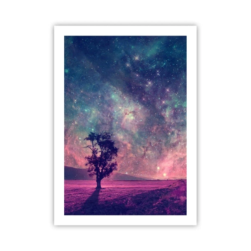 Plakat - Under en magisk himmel - 50x70 cm
