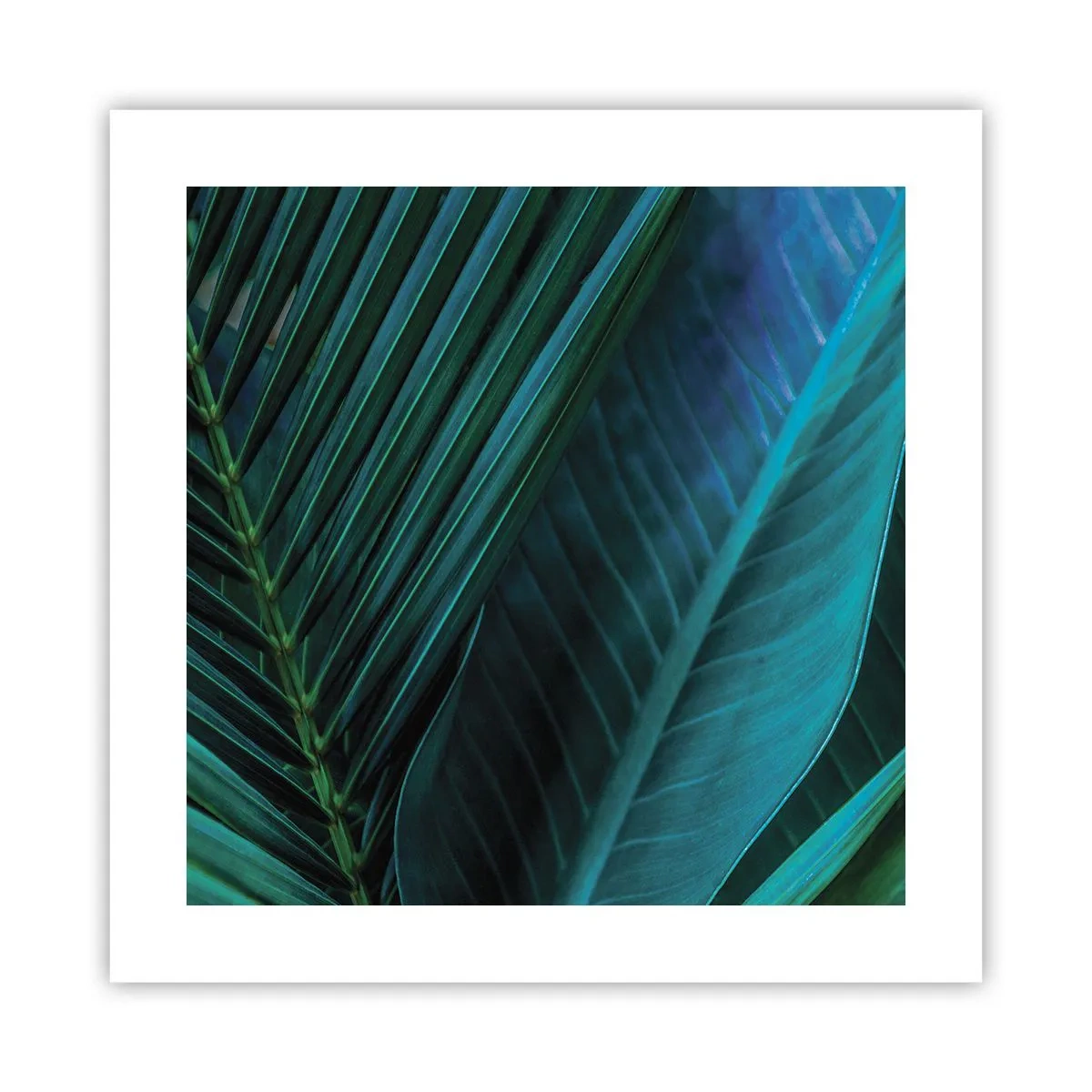 Plakat - Anatomi af en grøn - 40x40 cm