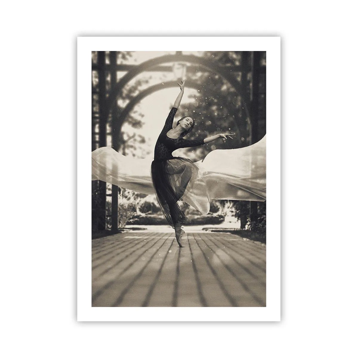 Plakat - Dans i haven - 50x70 cm