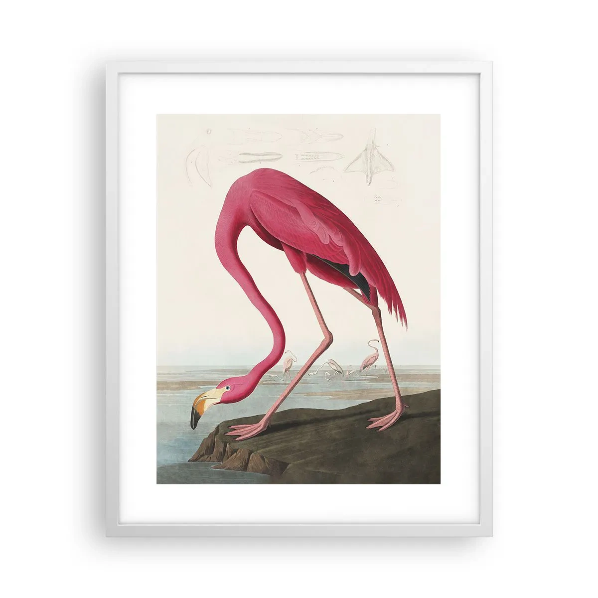 Plakat i hvid ramme - Et forbløffende væsen - 40x50 cm