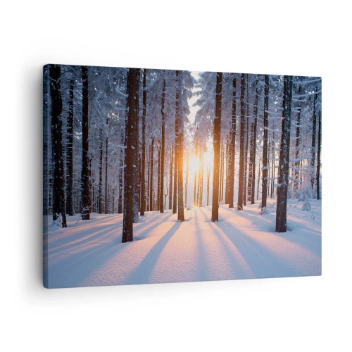 Lærredstryk - Billede på lærred - Vinterskov oplyst af solens stråler - 70x50cm - Klart i sort og hvidt - Moderne vægdekoration til stue og soveværelse ARTTOR