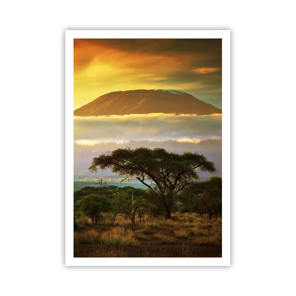 Plakat - En rejsendes drøm - 70x100 cm