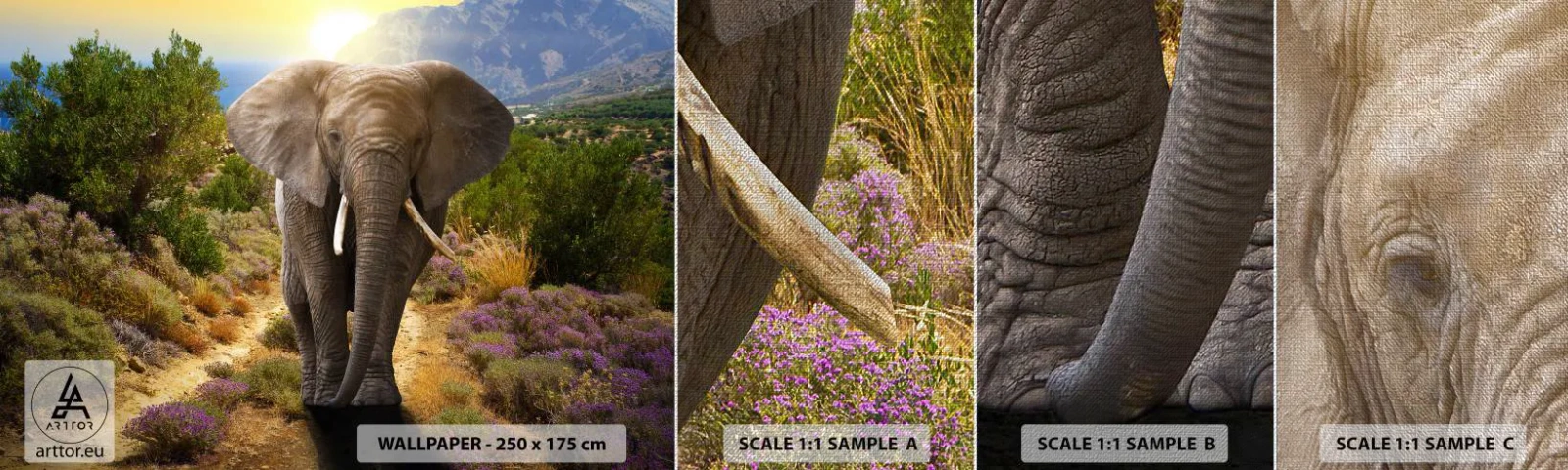 Prøve Fototapet Premium Canvas - Sådan så Eden ud - Dyr, Elefant, Safari - 100x30 cm