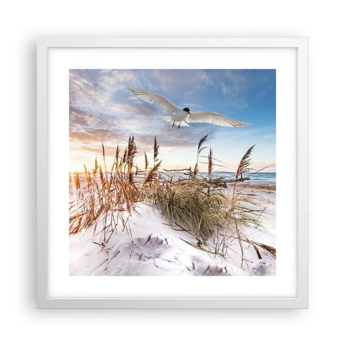 Plakat i hvid ramme - Vind fra havet - 40x40 cm