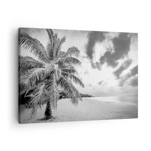 Lærredstryk - Billede på lærred - Sort og hvid palme på en tom strand med skyer - 70x50cm - Når du længes efter ensomhed.... - Moderne vægdekoration til stue og soveværelse ARTTOR