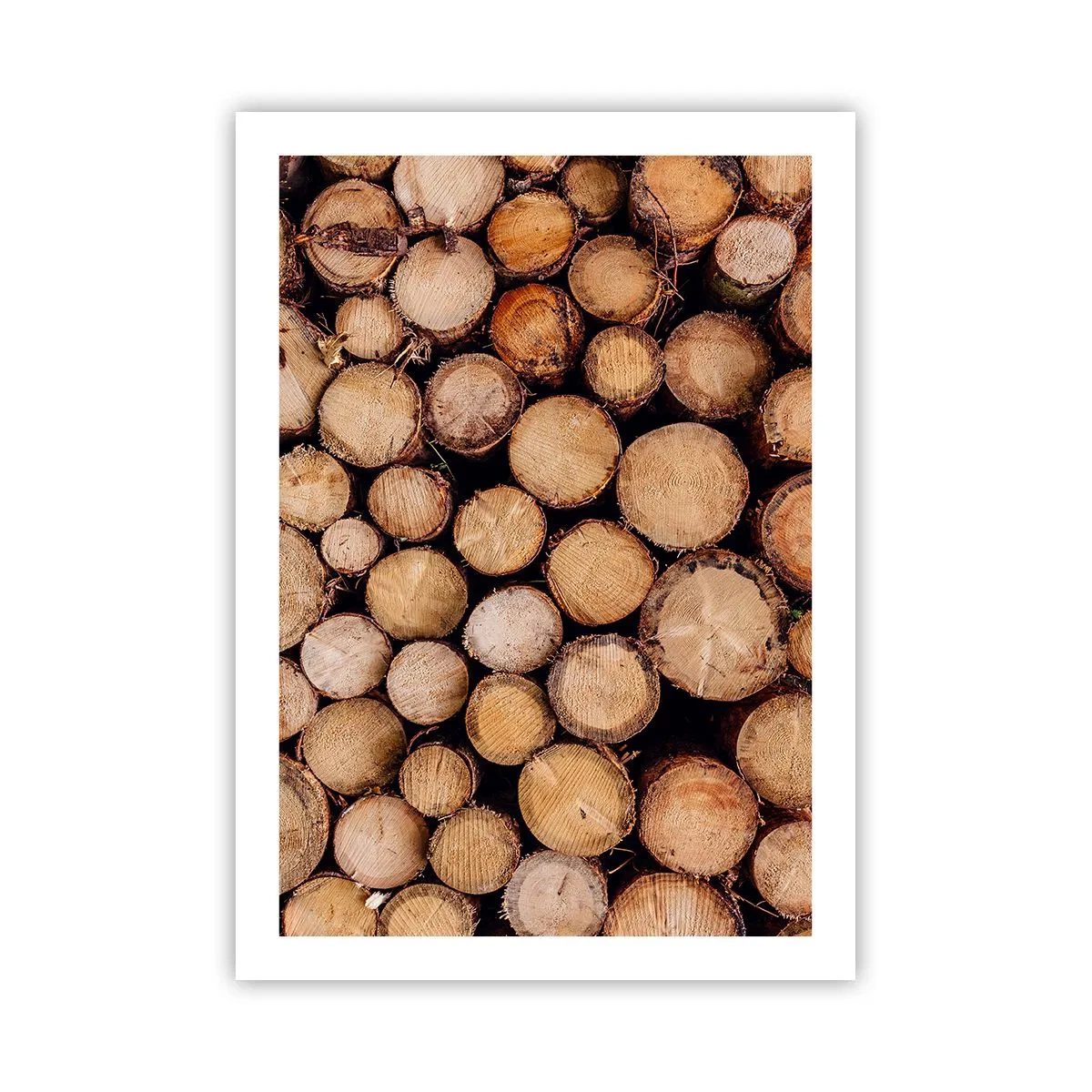 Plakat - En ny begyndelse - 50x70 cm