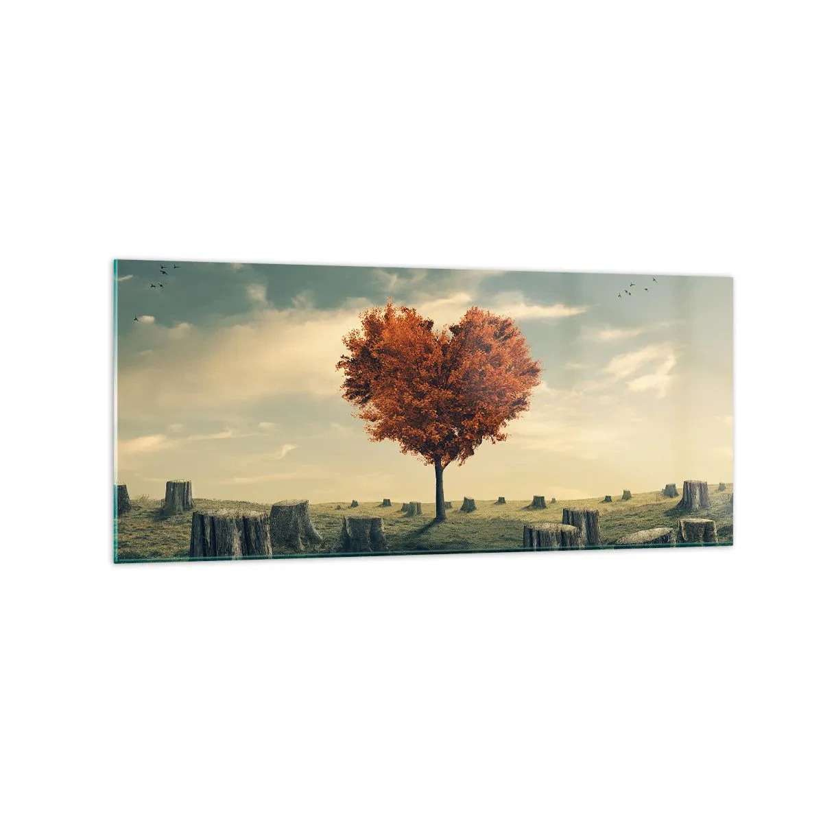 Billede på glas - Der er stadig håb - 120x50 cm