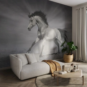 Fototapet Standard Eco - Født til glæde - Dyr, Hest, Natur - 250x175 cm