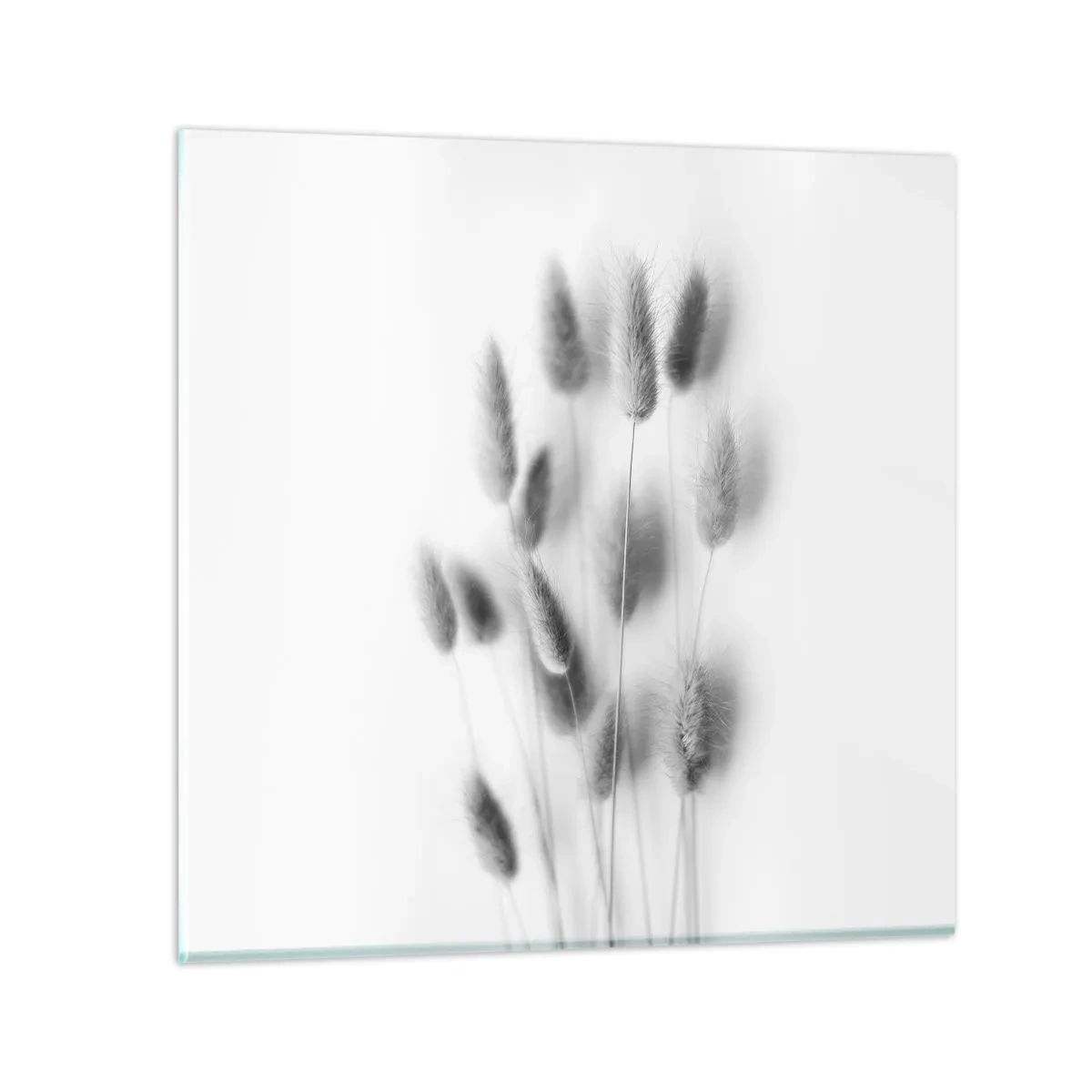 Billede på glas - Dens bløde græs - 30x30 cm