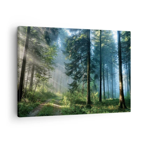 Lærredstryk - Billede på lærred - En skovsti oplyst af morgensolens stråler - 70x50cm - Strålende om morgenen - Moderne vægdekoration til stue og soveværelse ARTTOR
