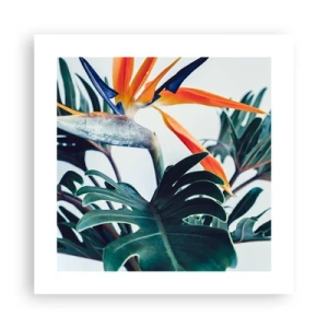 Plakat - Fuglebur - 40x40 cm