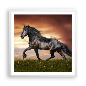 Plakat i hvid ramme - Sort prins - 60x60 cm