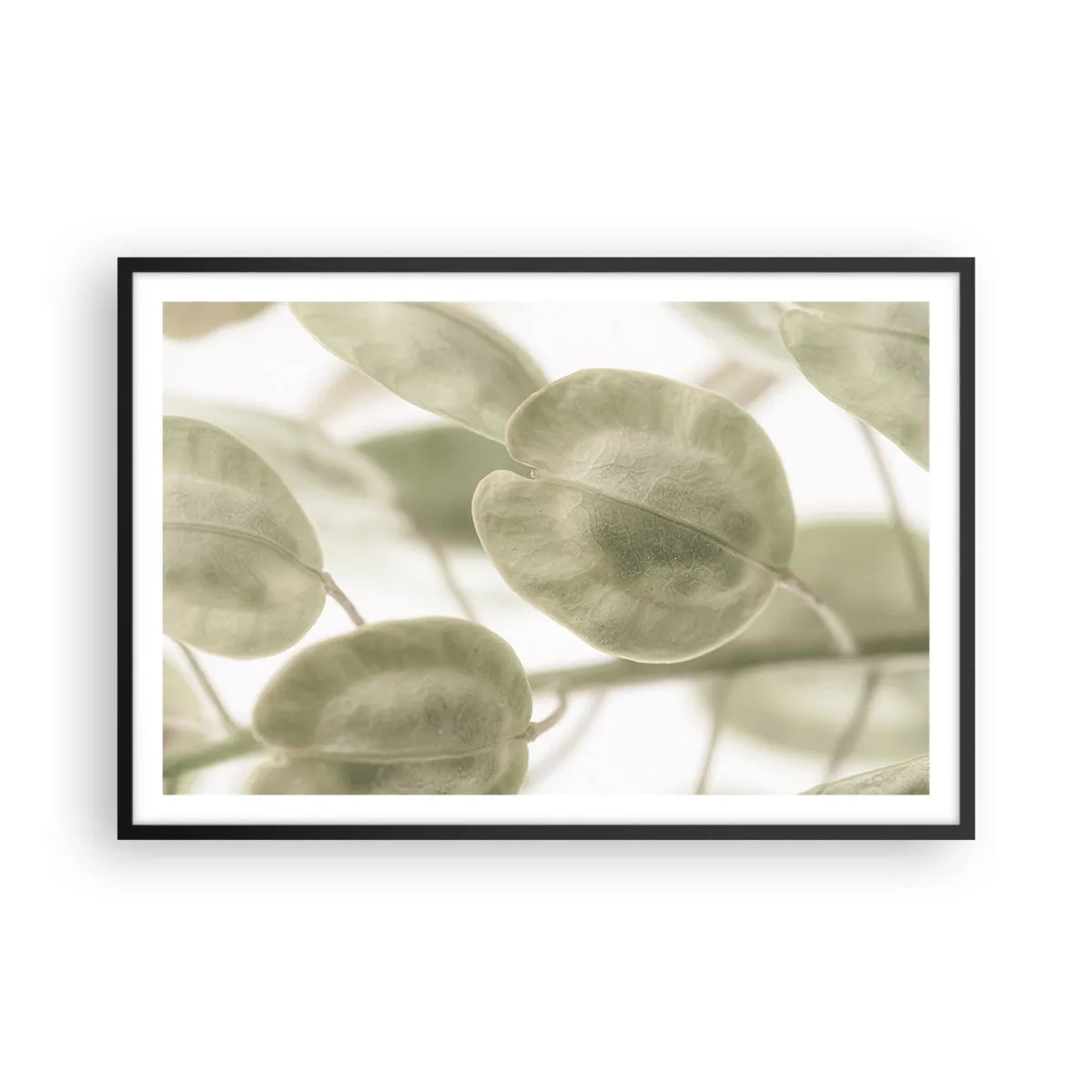 Plakat i sort ramme - I begyndelsen var der blade... - 91x61 cm