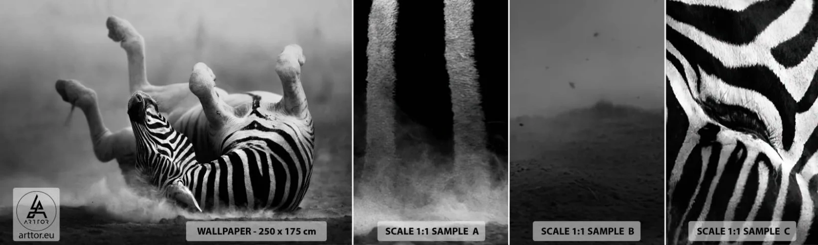 Fototapet Prøve Standard Eco - Ikke kun en hest ville grine - Dyr, Ribben, Natur - 100x30 cm