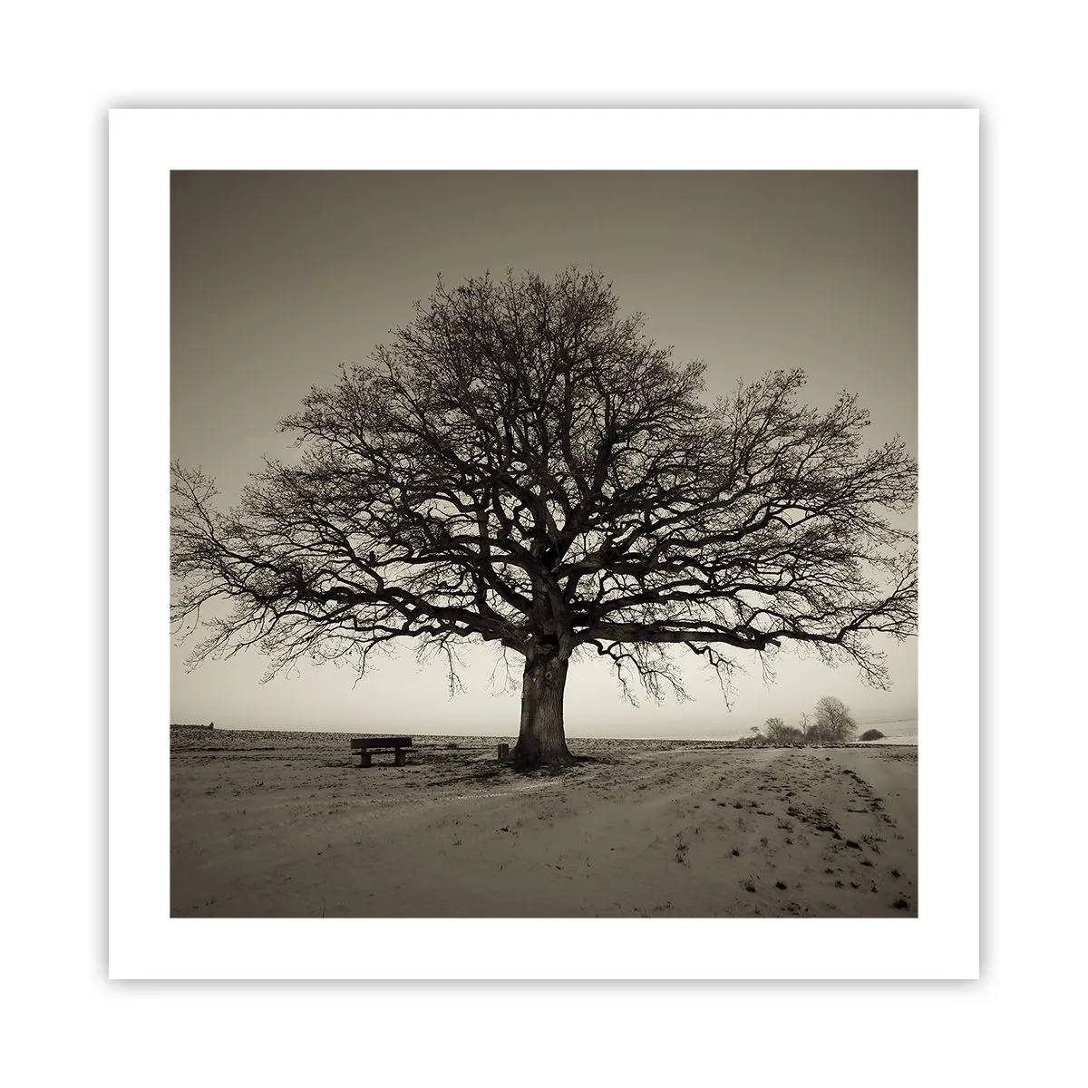 Plakat - Herfra og til evigheden - 50x50 cm