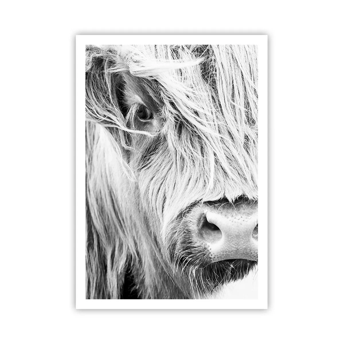 Plakat - Skotsk vildmark - 70x100 cm