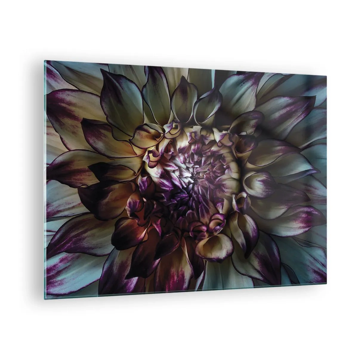 Billede på glas - Nærbillede af en blomst i en mørk farvepalet - 70x50cm - Ungdommens blomstring - Moderne vægdekoration til stue og soveværelse ARTTOR