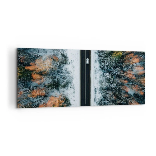 Lærredstryk - Billede på lærred - Skær gennem vinterskoven - 120x50 cm