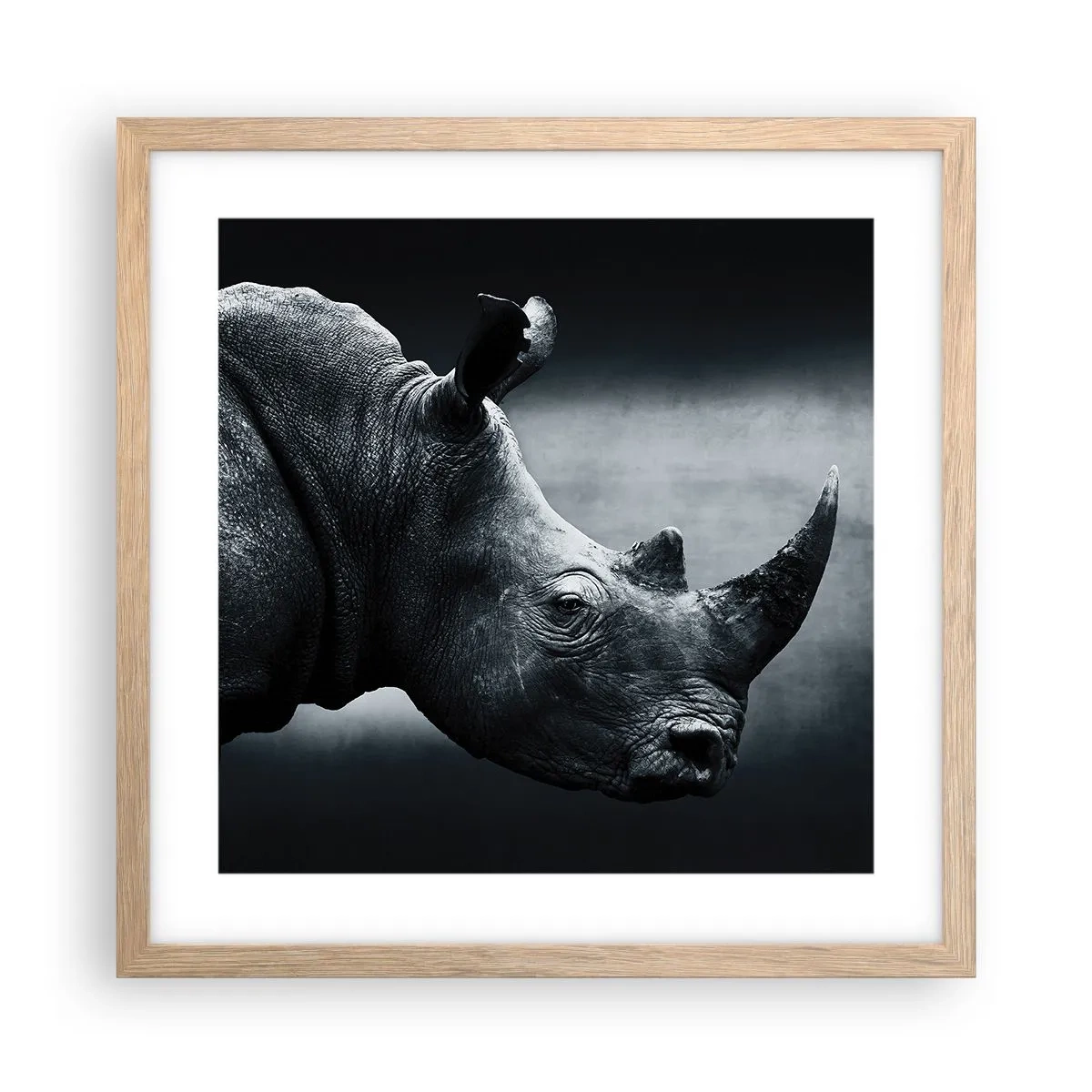Plakat i ramme af lyst egetræ - Højre profil - 40x40 cm