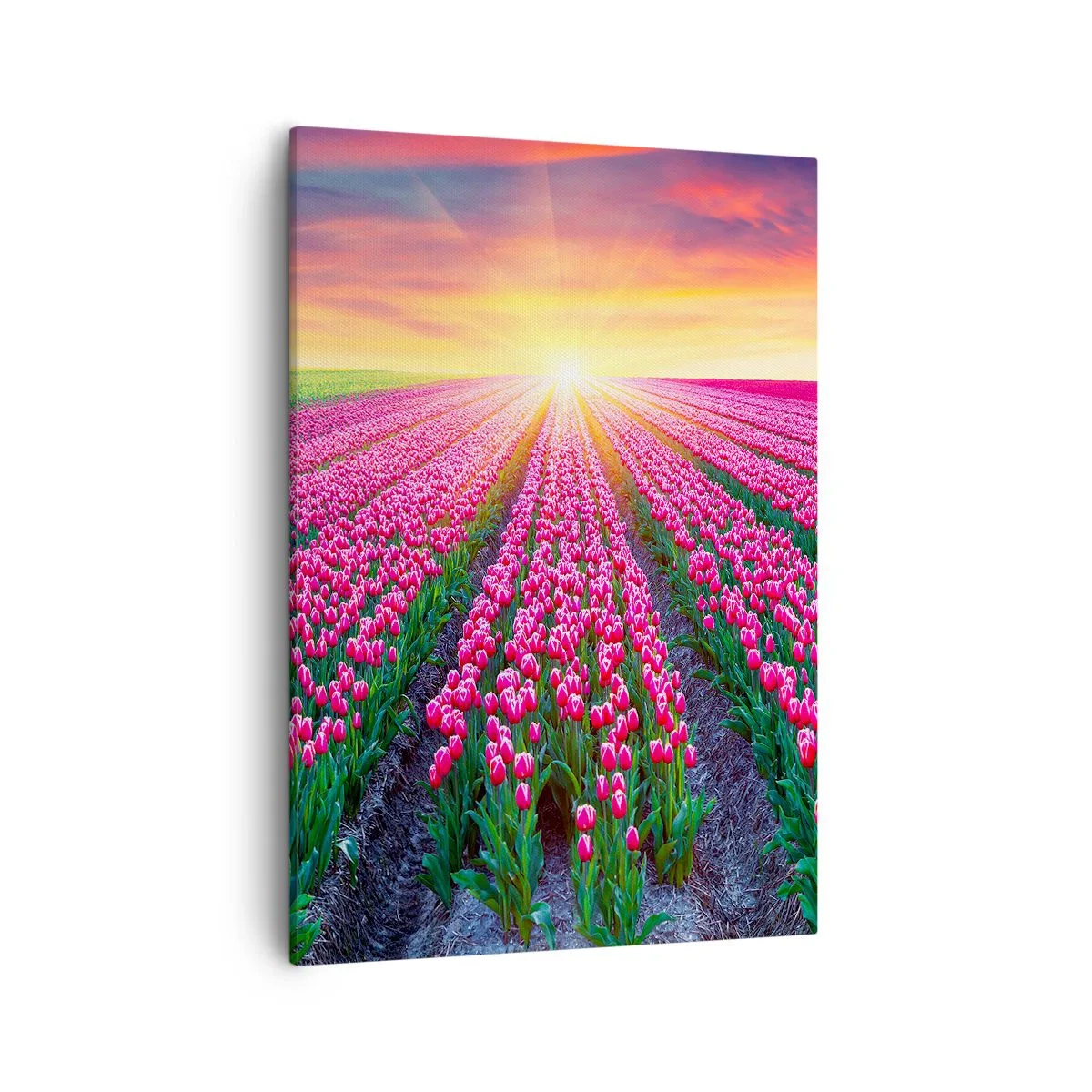 Lærredstryk - Billede på lærred - Skønhedsfarm - 50x70 cm