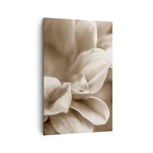 Lærredstryk - Billede på lærred - Blid som et smil - 80x120 cm