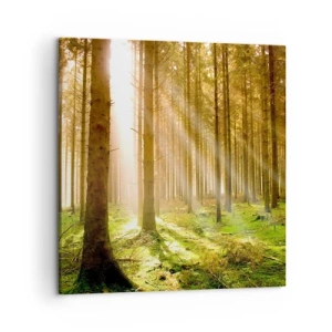 Lærredstryk - Billede på lærred - Nisserne er ved at dukke op - 50x50 cm