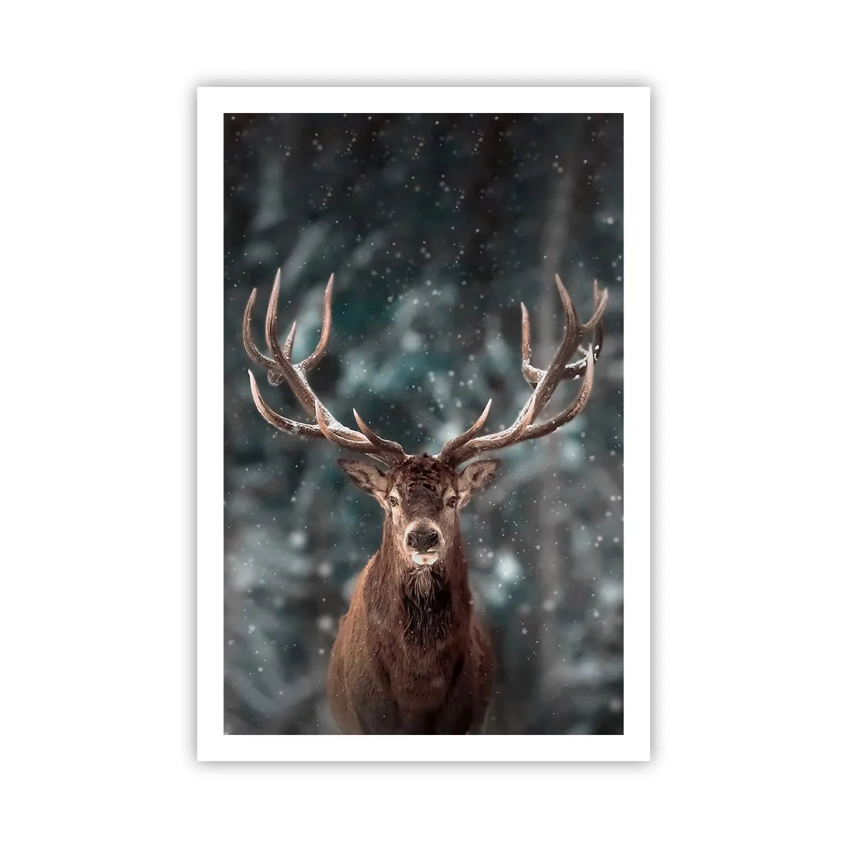 Plakat - Skovens konge kronet - 61x91 cm