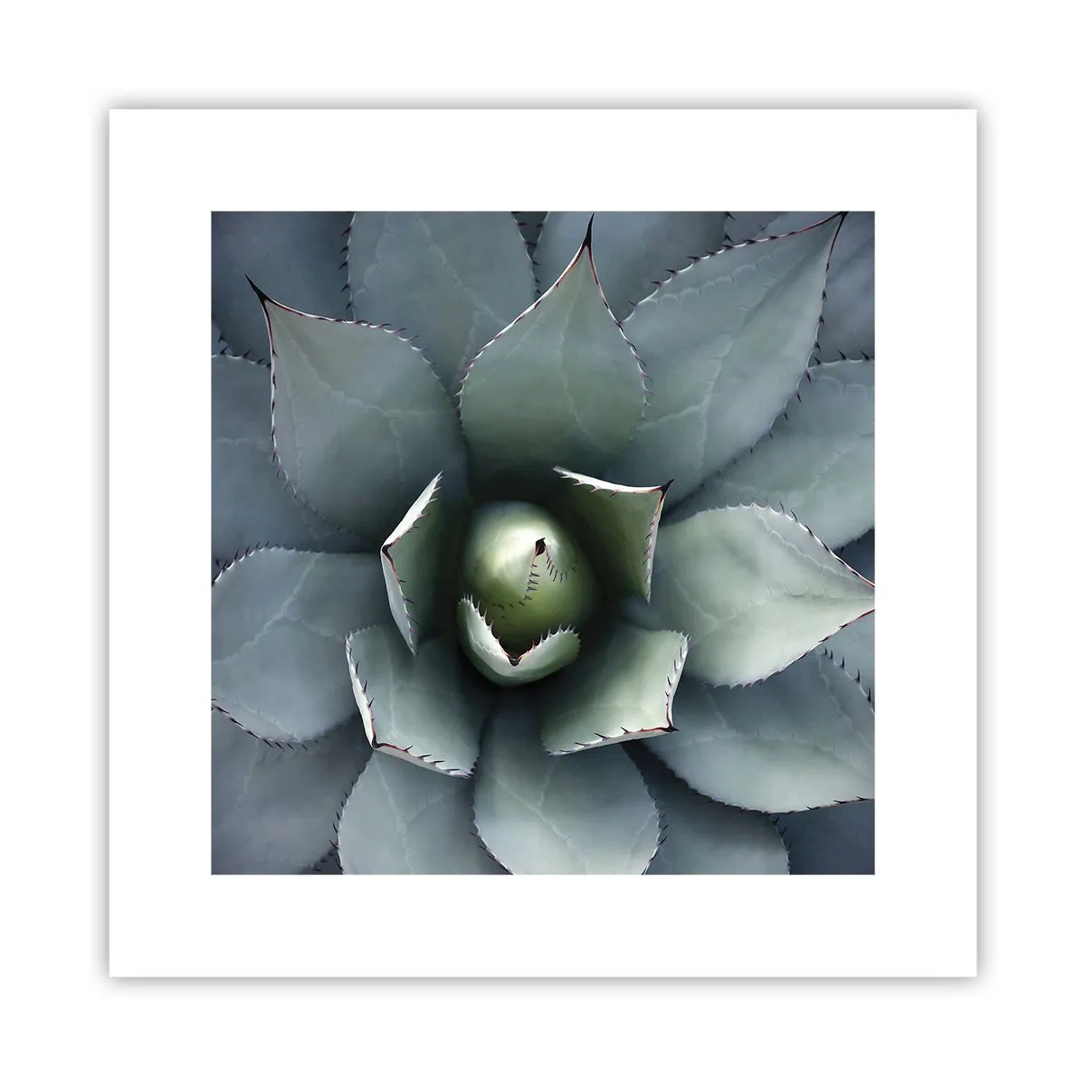 Plakat - Lokkemad og advarsler - 30x30 cm