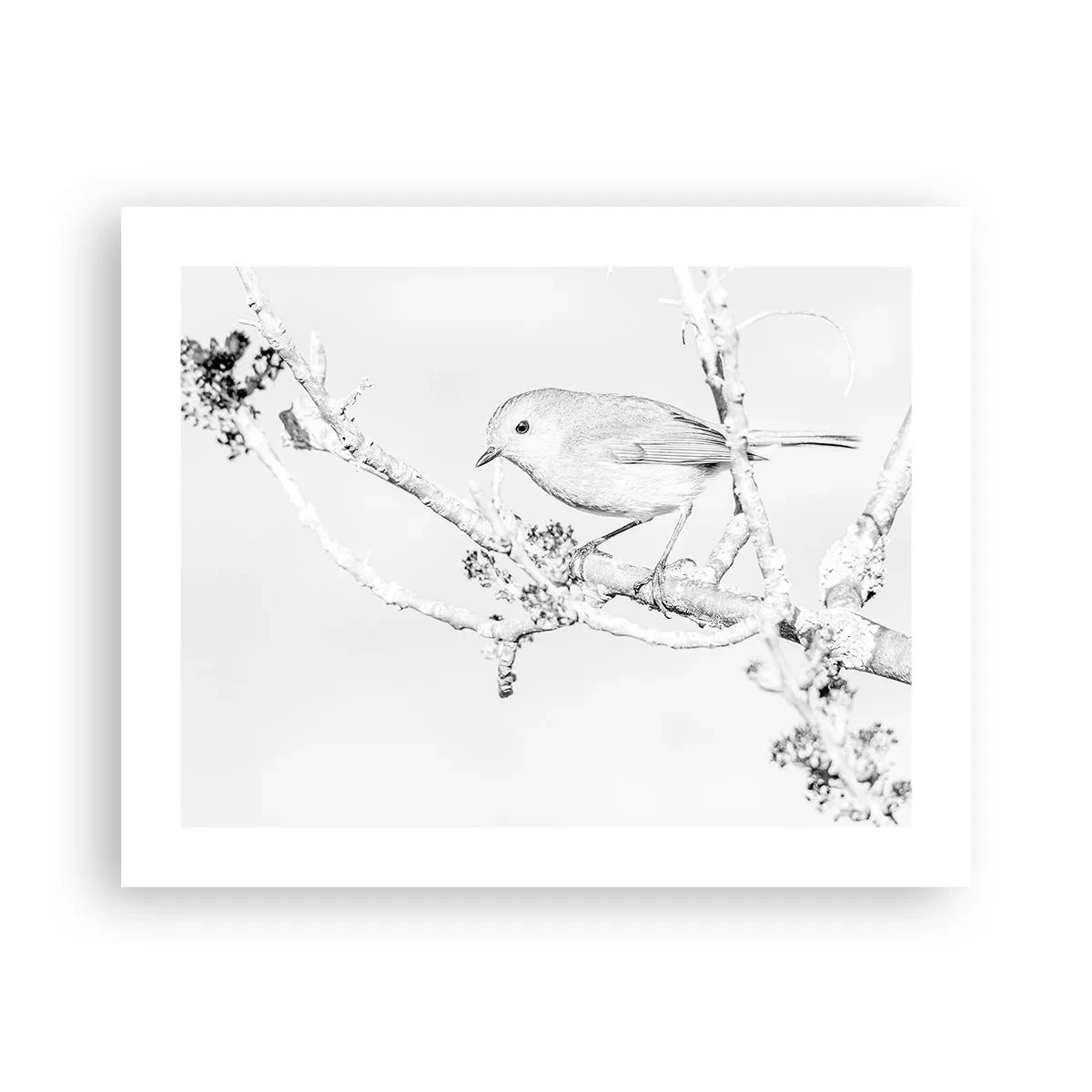 Plakat - Vintermorgen - 50x40 cm