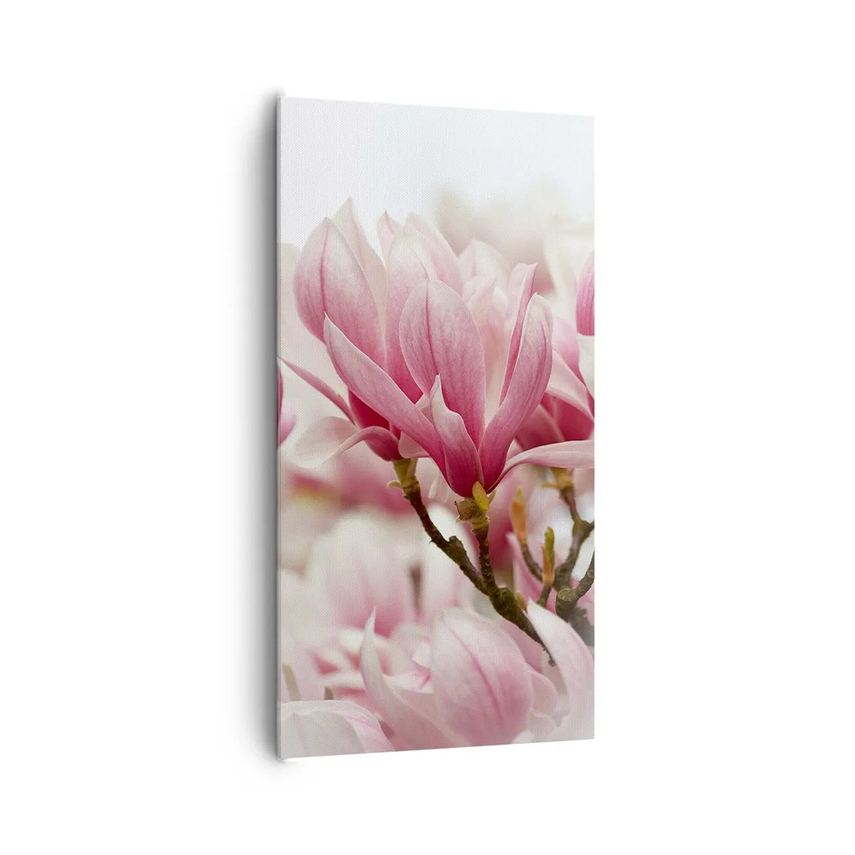 Lærredstryk - Billede på lærred - Forårsblomster - 65x120 cm