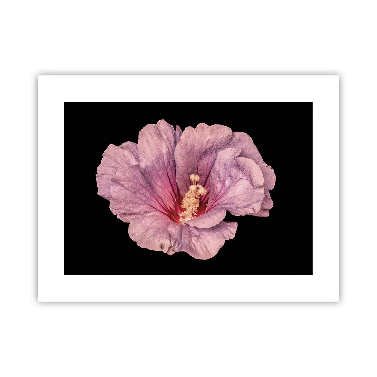 Plakat - Lige i hjertet - 40x30 cm