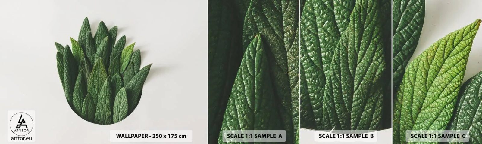 Prøve Fototapet Selvklæbende Deluxe Sticker - Uhæmmet nysgerrighed - Salvie, Salvie blad, Urt - 100x30 cm