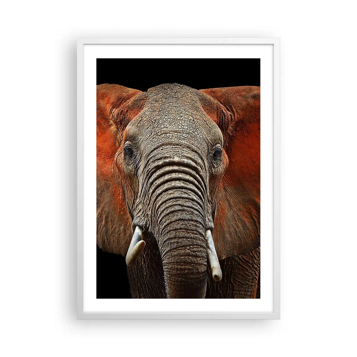 Plakat i hvid ramme - Jeg er vild, er du? - 50x70 cm