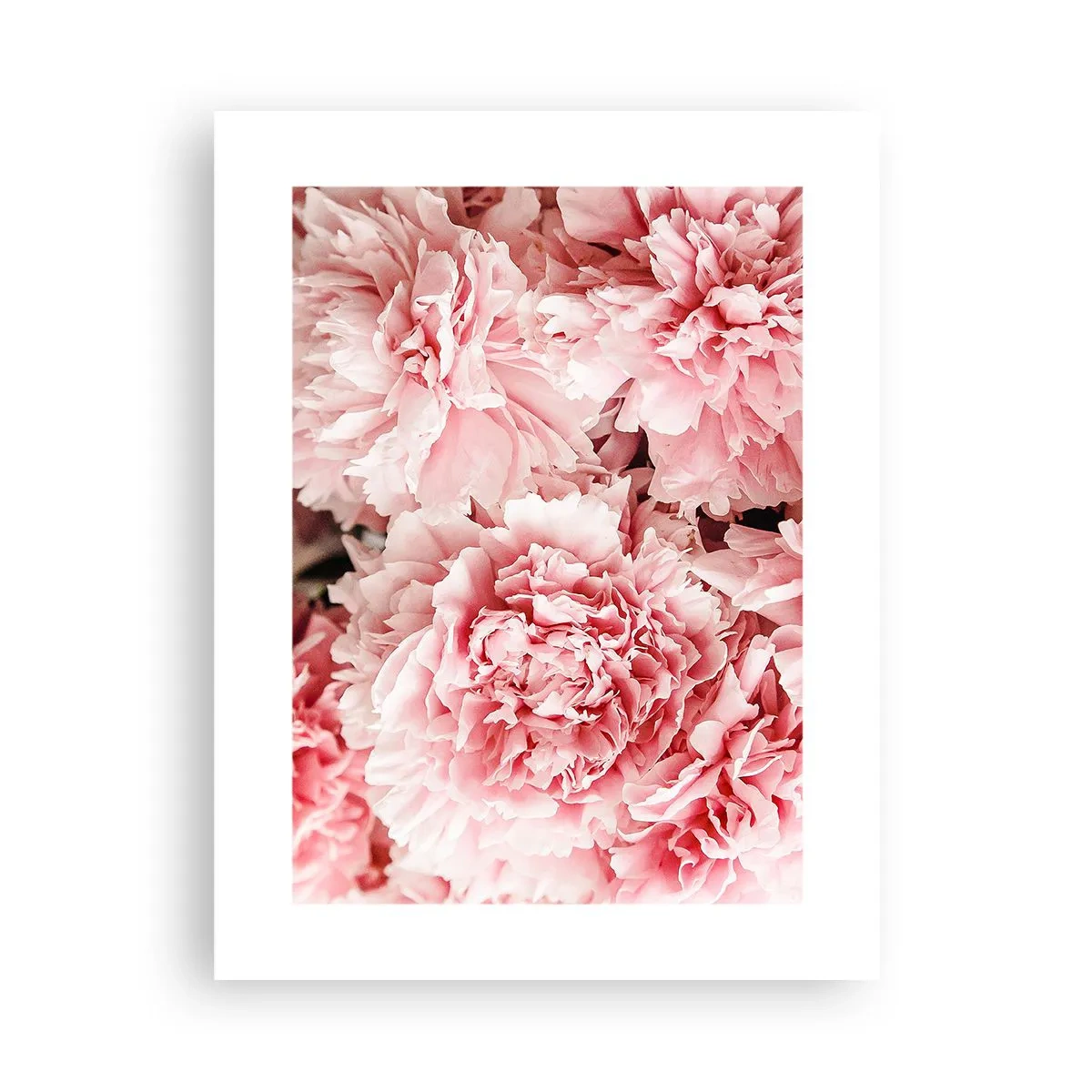 Plakat - Lyserød drøm - 30x40 cm