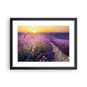 Plakat i sort ramme - Duftende plet - 40x30 cm