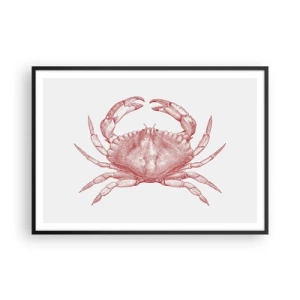 Plakat i sort ramme - Krabbe over krabber - 100x70 cm