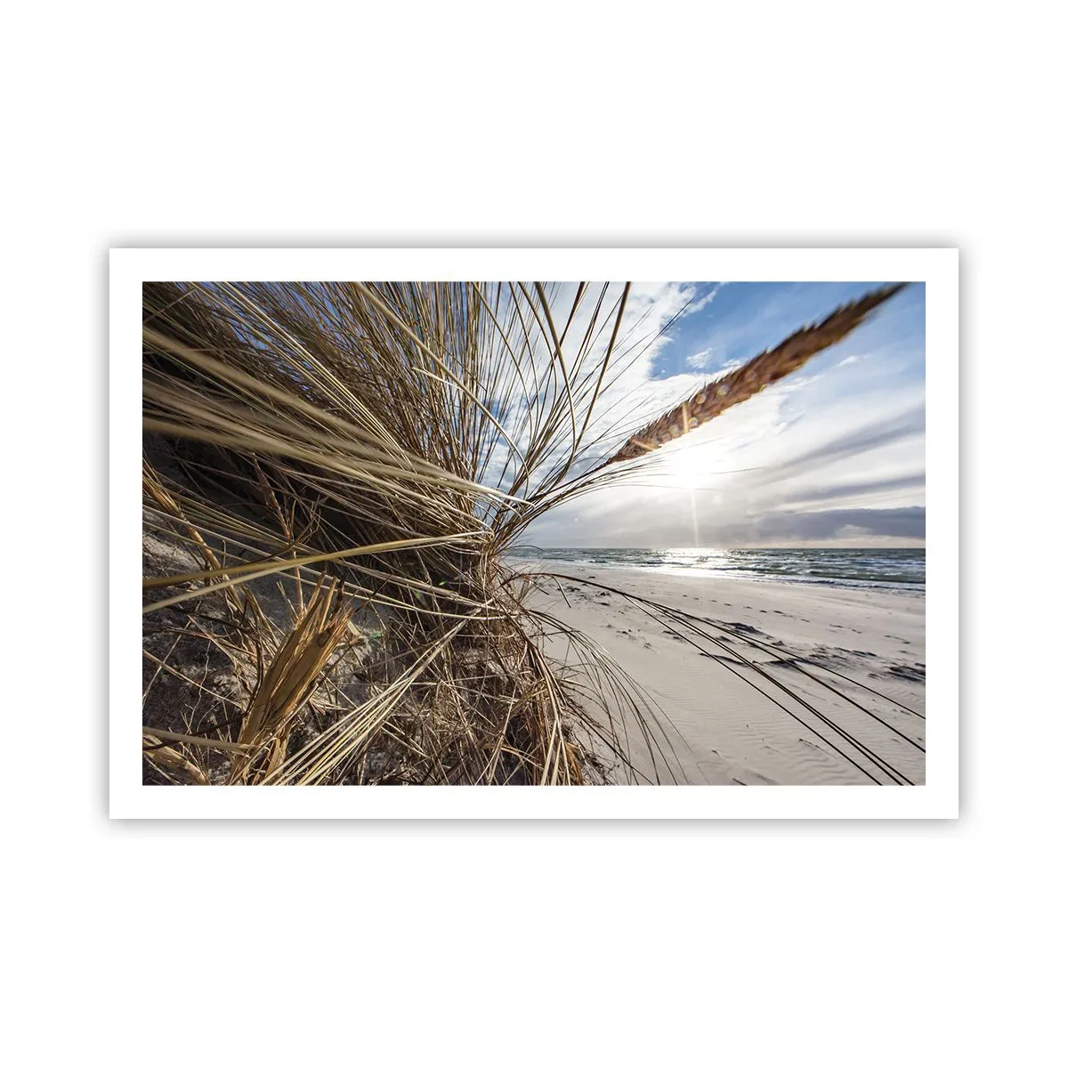 Plakat - Et møde mellem elementerne - 91x61 cm