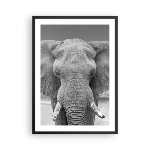 Plakat i sort ramme - Elefant i sort-hvid kunstfotografi - 50x70cm - Velkommen til min verden - Moderne vægdekoration til stue og soveværelse ARTTOR