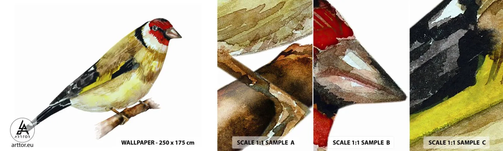 Prøve Fototapet Selvklæbende Deluxe Sticker - Portræt af en fugl - Guldfink, Fugl, Stykke - 100x30 cm