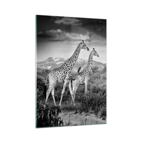 Billede på glas - Afrikas overklasse - 50x70 cm