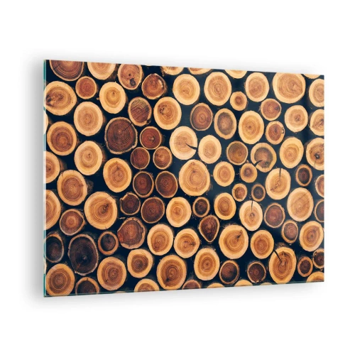 Billede på glas - Udsigt over afskårne træstammer arrangeret i en række - 70x50cm - Hvor gammel ser jeg ud? - Moderne vægdekoration til stue og soveværelse ARTTOR