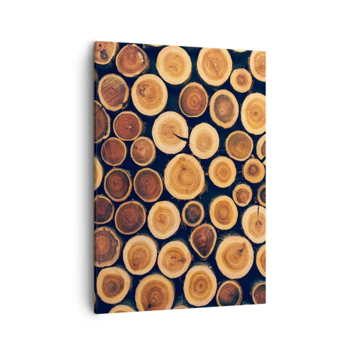 Lærredstryk - Billede på lærred - Hvor gammel ser jeg ud? - 50x70 cm