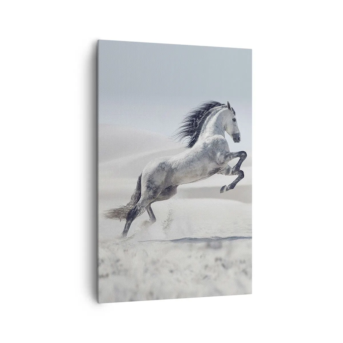 Lærredstryk - Billede på lærred - Arabisk prins - 80x120 cm