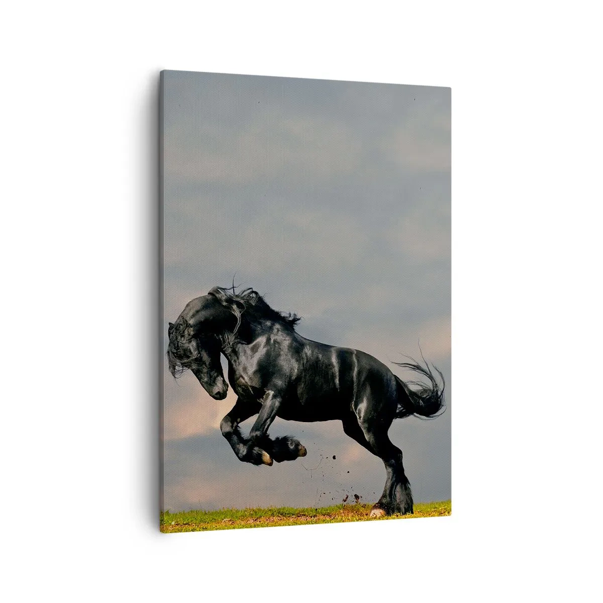 Lærredstryk - Billede på lærred - Smuk og fri - 50x70 cm